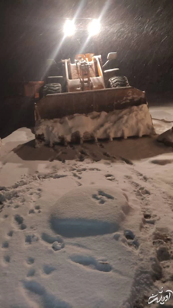 ماجرای نجات 